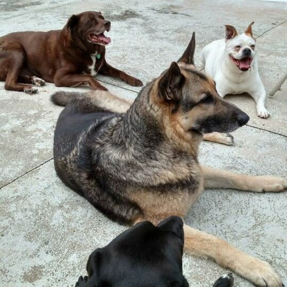 Meet your Posher, Brenda - Picture 1 of 1